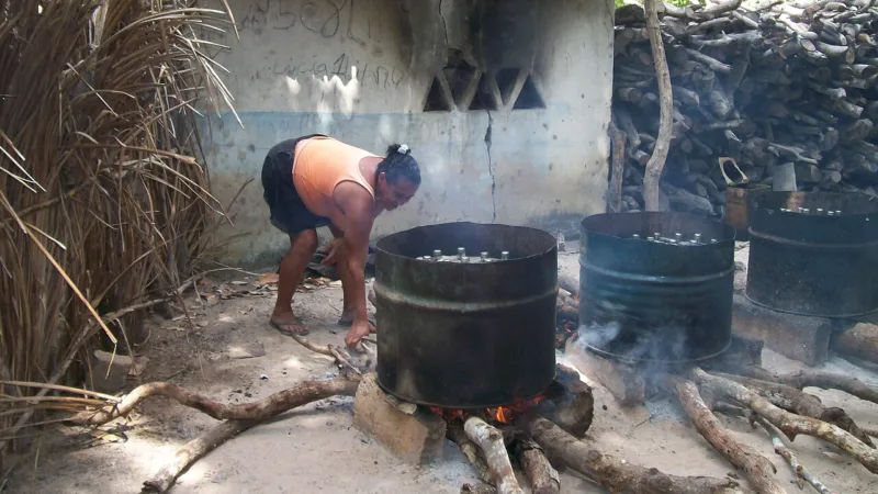 Vinho de caju e cauína no Ceará: do cauim ao espumante