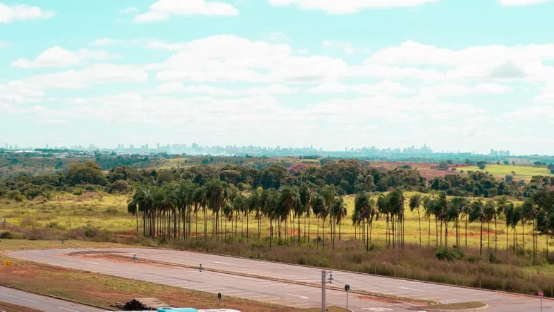 Chica Doida: a invenção goiana nascida da falta de palha