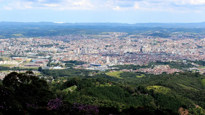 Caqui de Mogi das Cruzes: a fruta da Terra do Caqui paulista