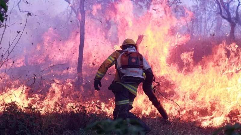 GDF proíbe uso de fogo em vegetação por causa do alto risco de incêndios florestais