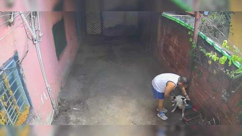 Câmeras flagram dono torturando cachorro com taser e água na Vila Planalto