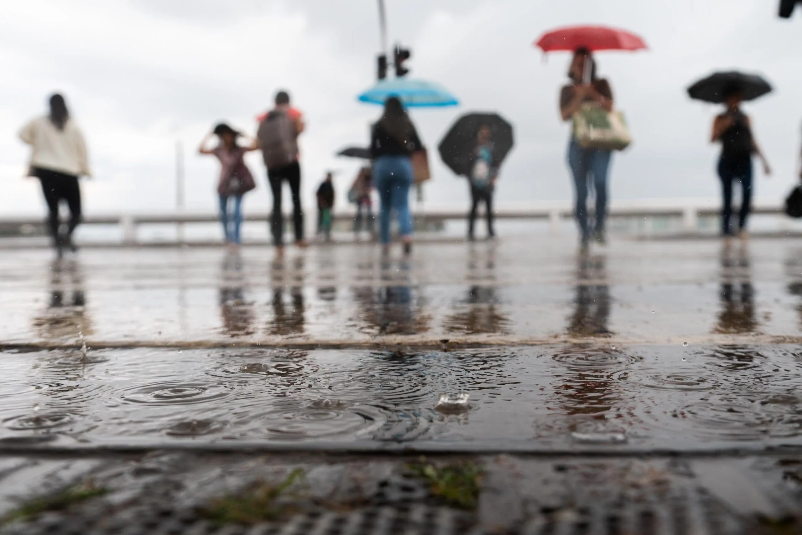 Chuva com ventania atinge o Setor Comercial Norte; DF segue sob alerta de tempestade do Inmet