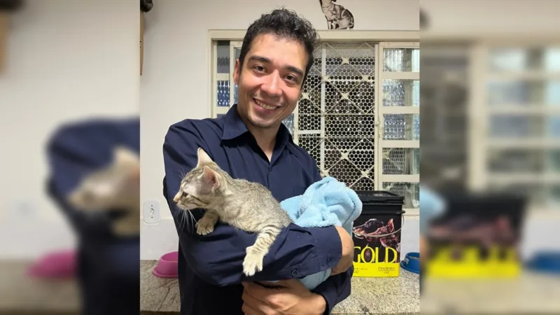 TJDFT adia julgamento de recurso contra psicólogo acusado de matar 17 gatos