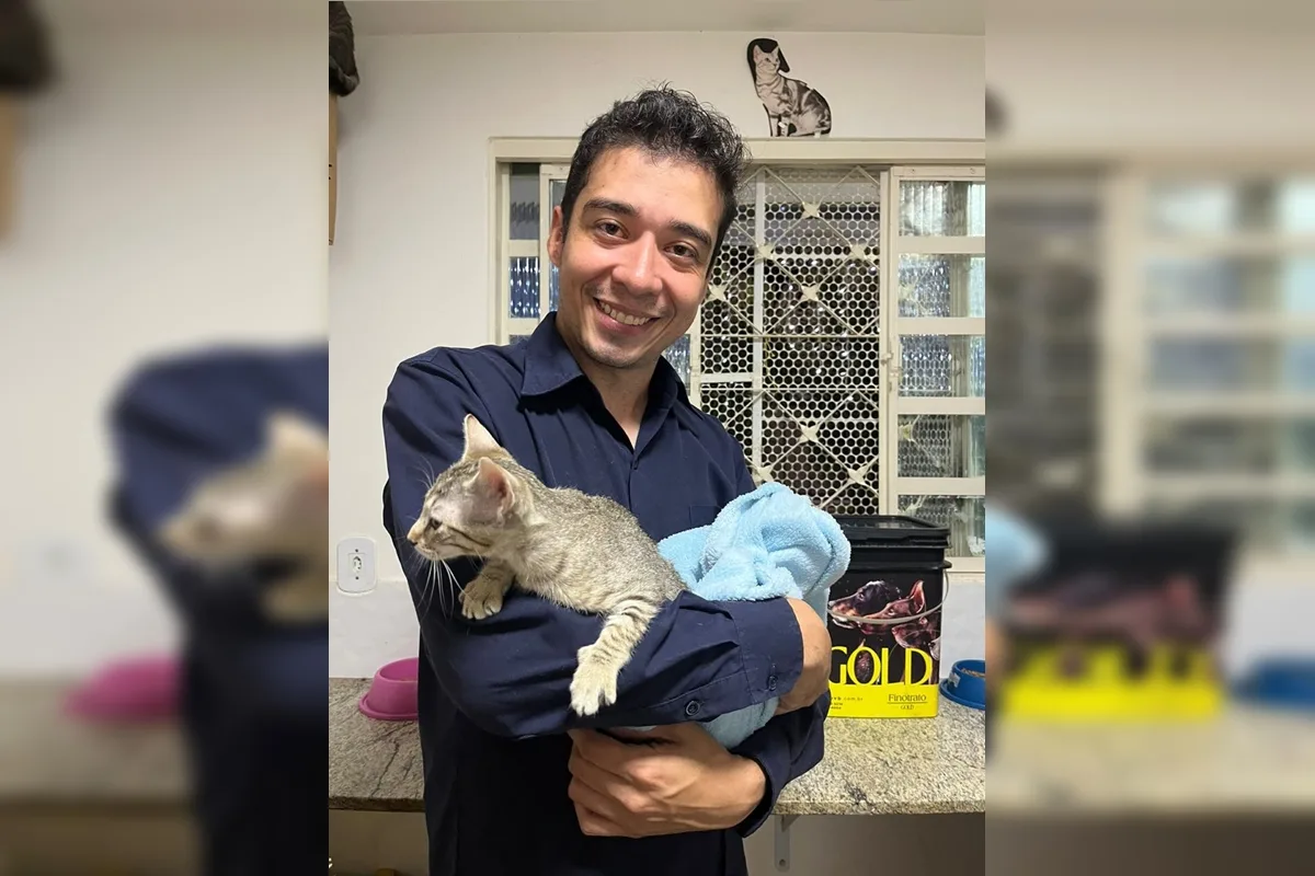 TJDFT adia julgamento de recurso contra psicólogo acusado de matar 17 gatos