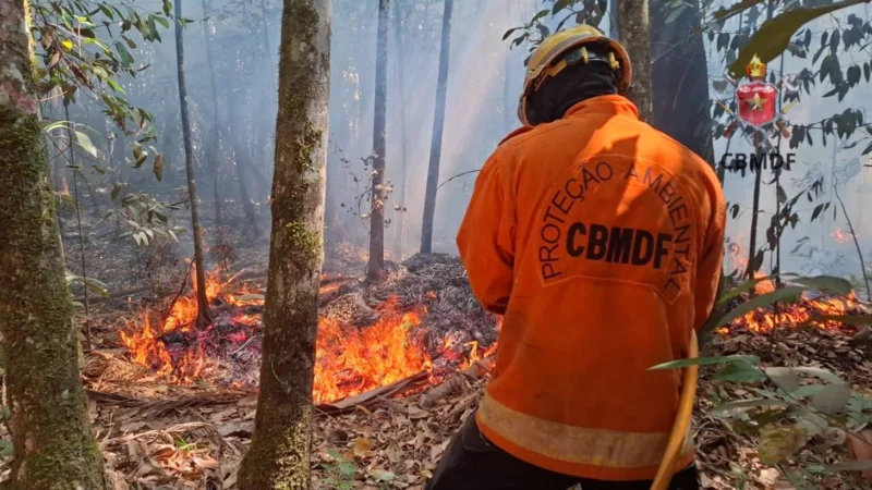 Projeto na CLDF prevê multas de até R$ 50 mil para queimadas irregulares no DF