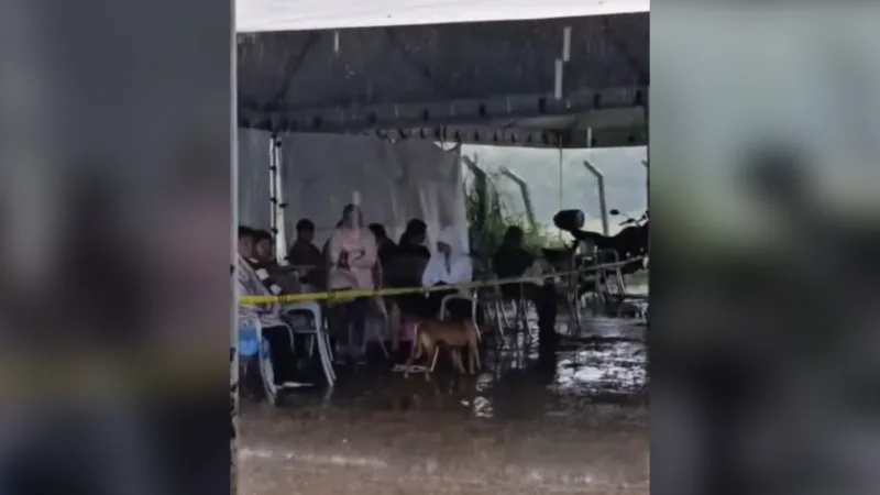 Tutores enfrentam temporal sob tenda furada à espera de atendimento no Hvet de Taguatinga