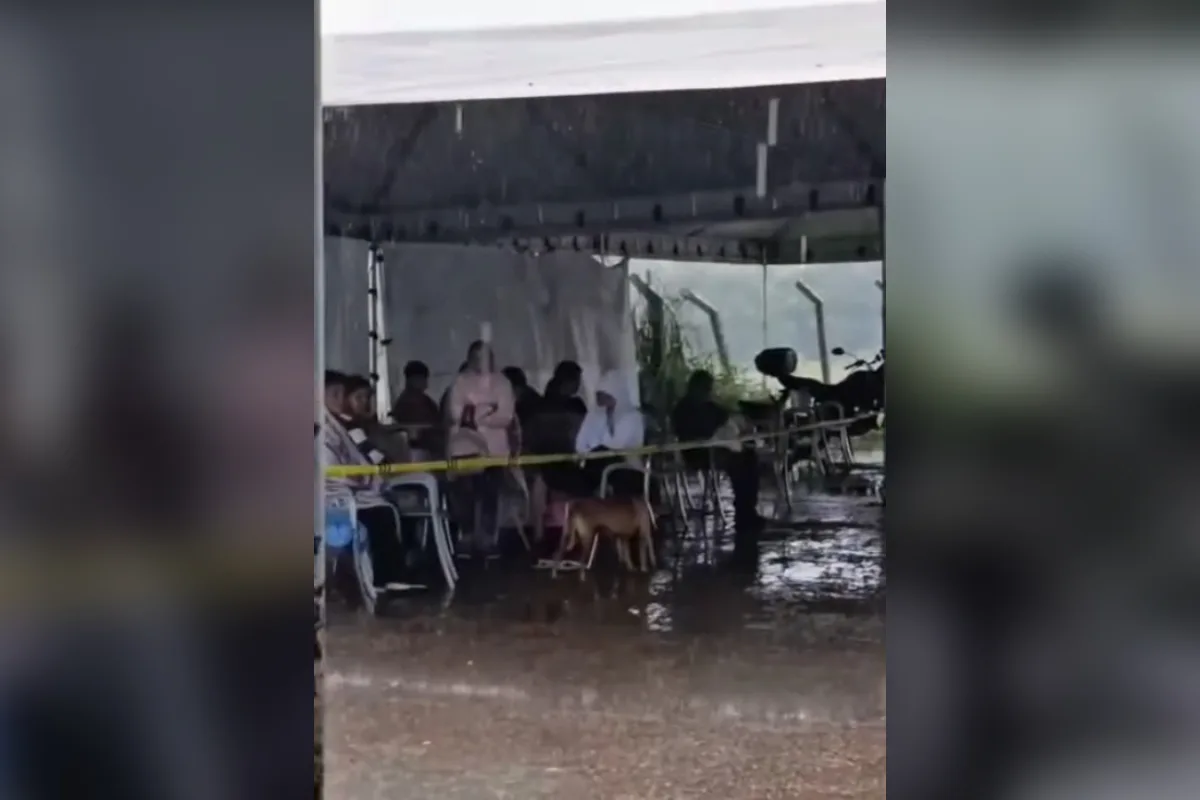 Tutores enfrentam temporal sob tenda furada à espera de atendimento no Hvet de Taguatinga