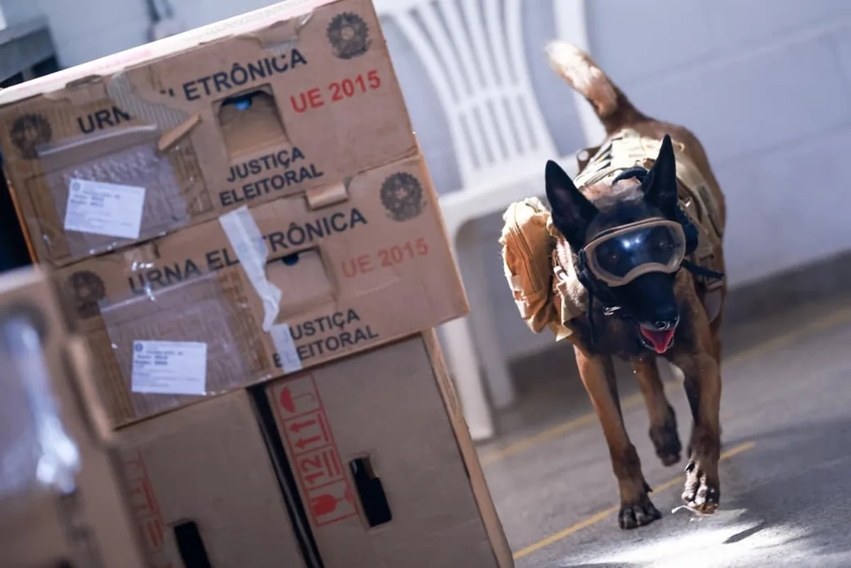 PMDF vistoria urnas com cães farejadores a cinco dias do 2º turno no DF