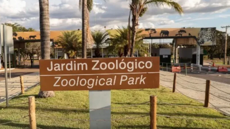Zoológico de Brasília terá entrada gratuita no Dia das Crianças (12/10)