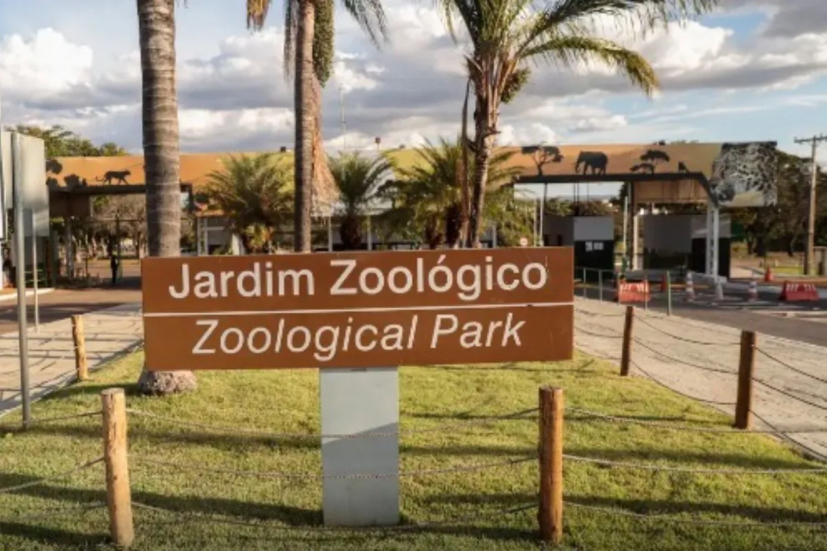 Zoológico de Brasília terá entrada gratuita no Dia das Crianças (12/10)